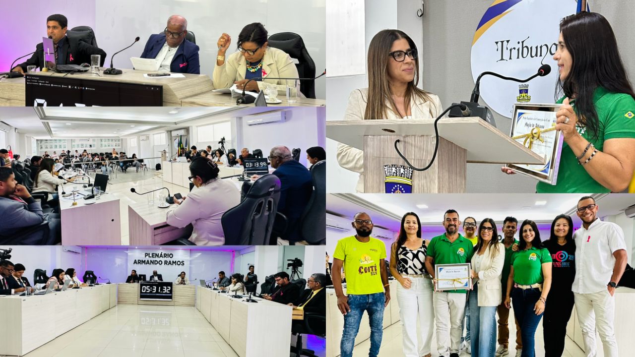 30ª Sessão Ordinária: primeira discussão do Plano Plurianual (PPA) 