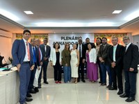 6ª Sessão Ordinária: participação da oficila de Justiça Luzinete Carneiro