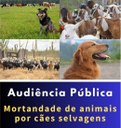 Audiência pública discute mortandade de animais por cães selvagens no município