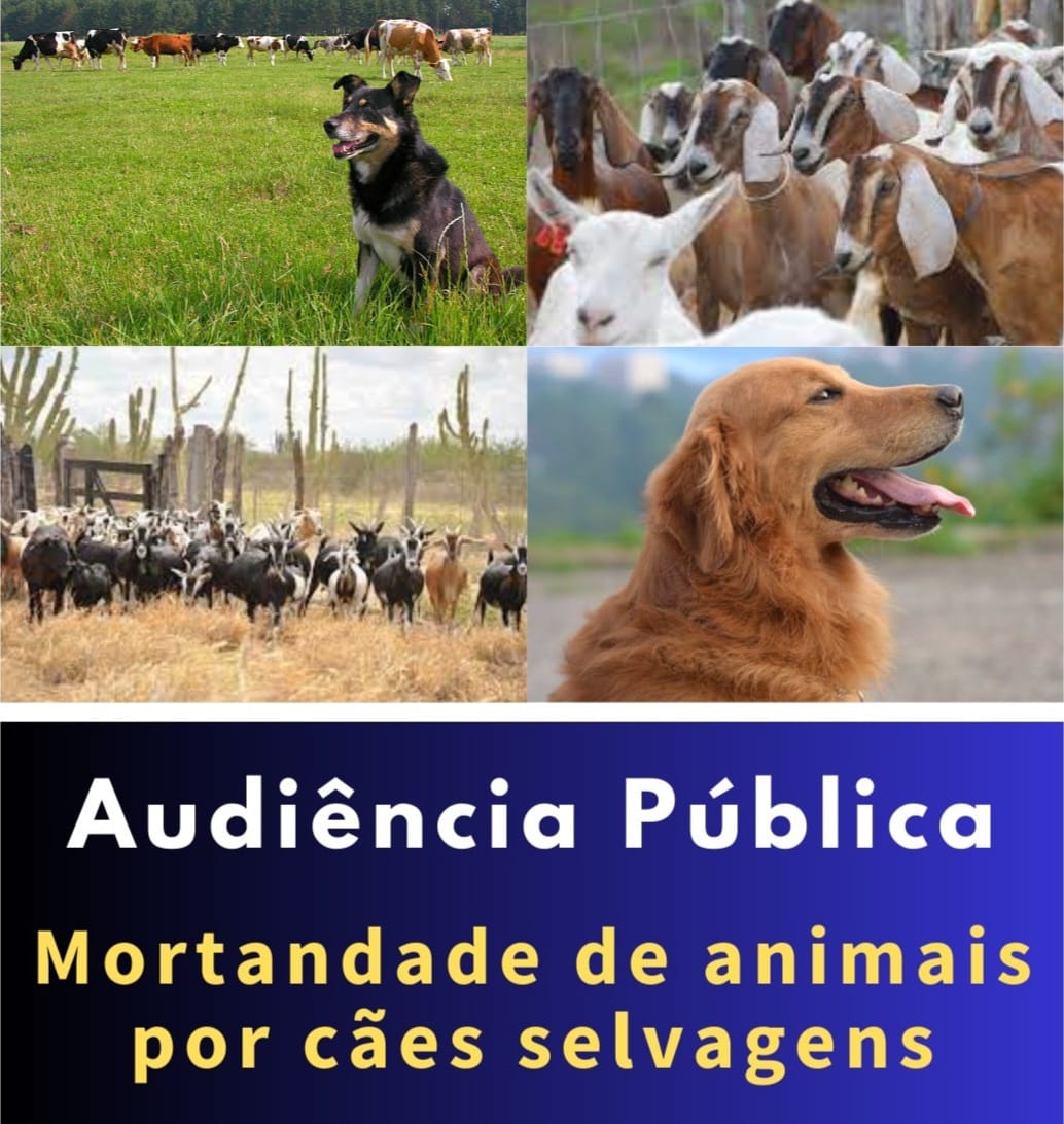 Audiência pública discute mortandade de animais por cães selvagens no município