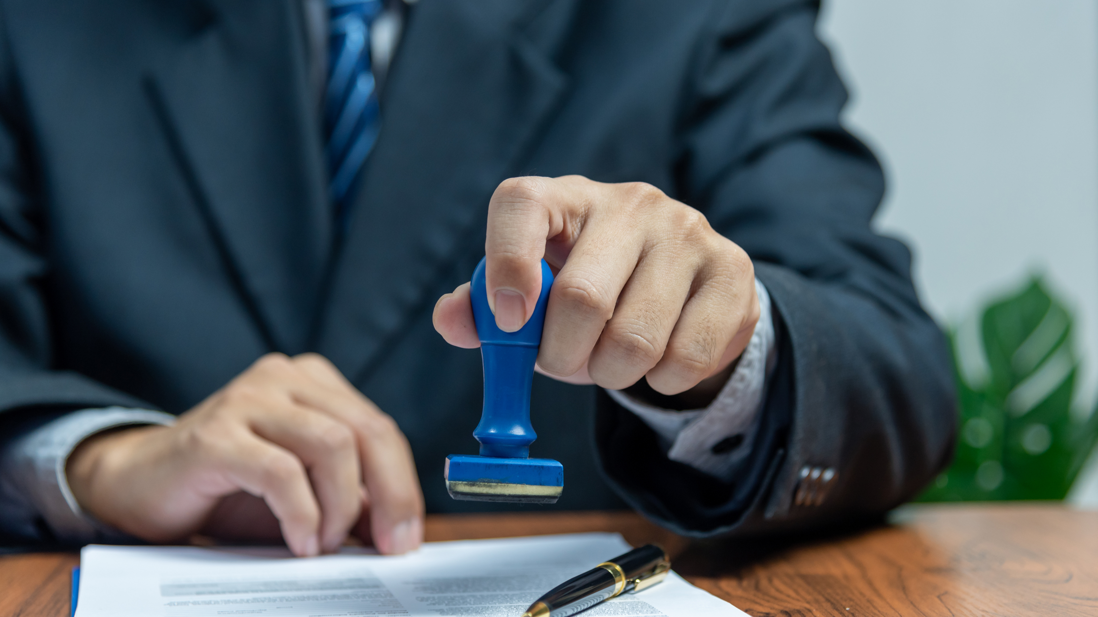 Confira as novas indicações aprovadas pelos vereadores 